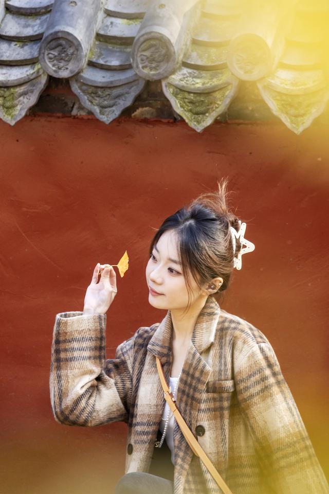 初冬玉泉寺金叶飘飘