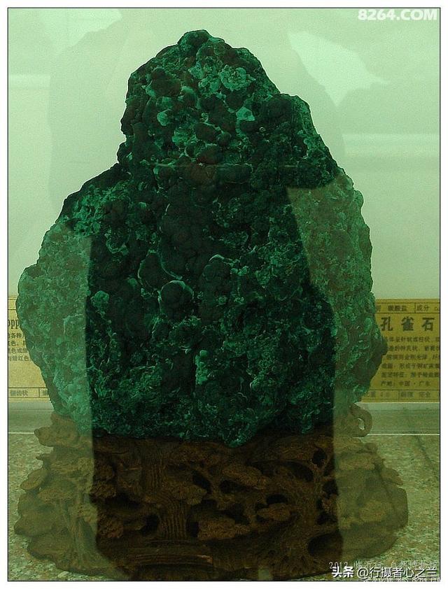 山东行游影记（31）—平邑天宇自然博物馆（六）