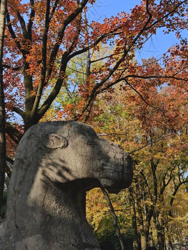 世界上只有中国江苏省南京市才有的全球 “独一无二的10大奇景”