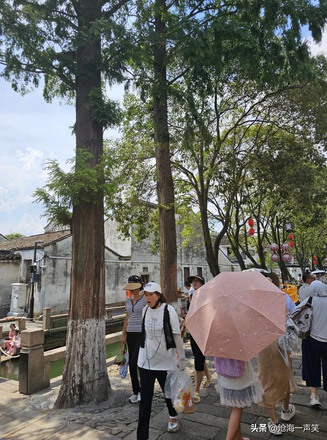 一条路，一座城，平江路，姑苏城，美不胜收，风景如画！
