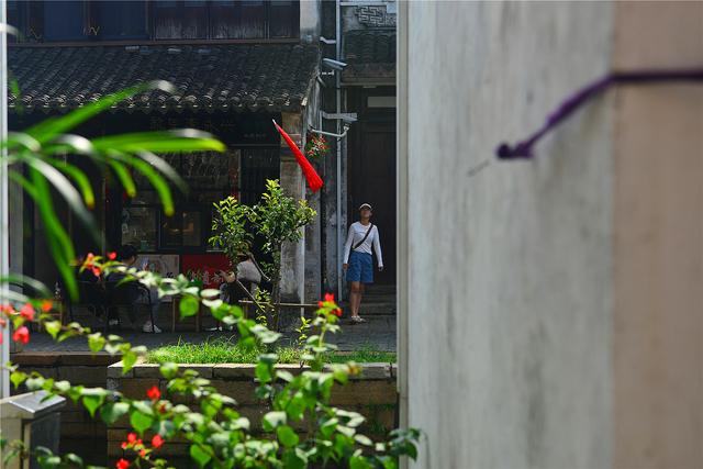 【老丁游记】20251002-1012 国庆假期南游记06