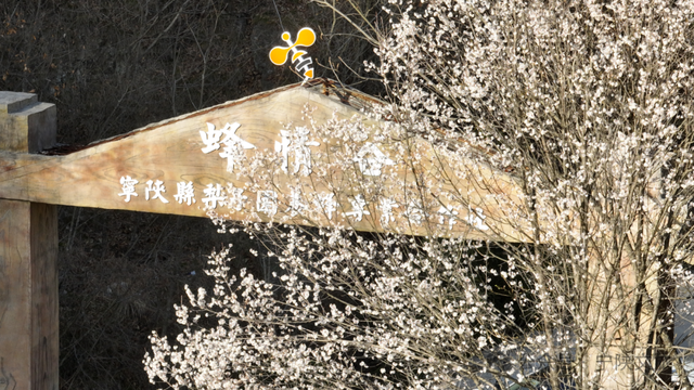 约好国庆来安康 | 秦岭腹地秋正好！宁陕三大主题之旅等你来！