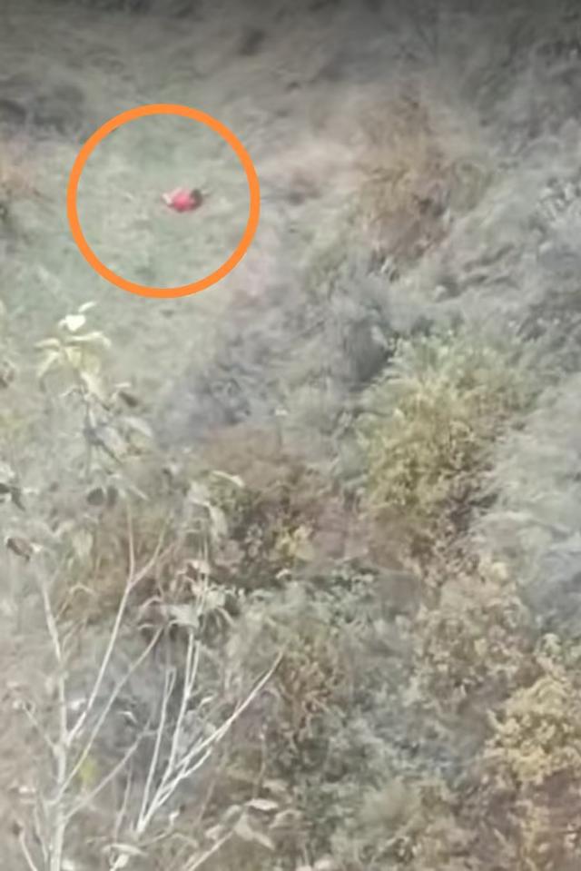 村干部讲述3岁女童获救经过