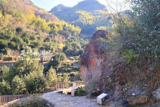 浙江绍兴雪窦岭的水上杉林，被誉为“江南小九寨”，现实却是这样