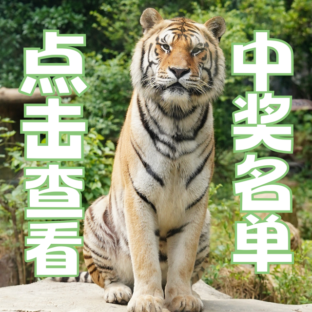 快查！你中奖了没