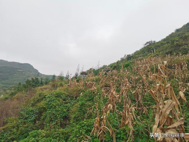 寻找一片僧人墓地，佛门高僧竟然最后落得尸骸无存