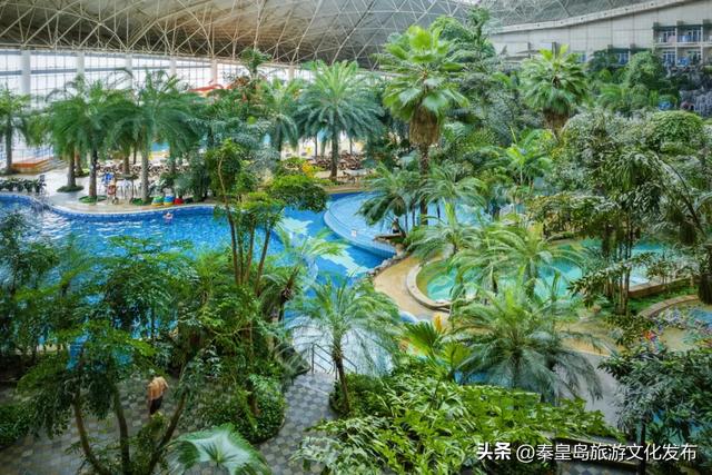 秦皇岛渔岛景区最新演出时间表出炉！一键收藏嗨玩不迷路！​​