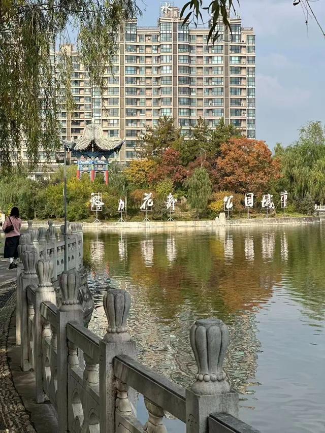 临夏秋日：在暖阳里邂逅街巷与公园的诗意