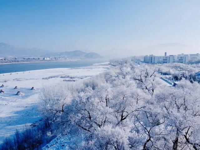 “雾凇之都”新雪季全剧透来啦→