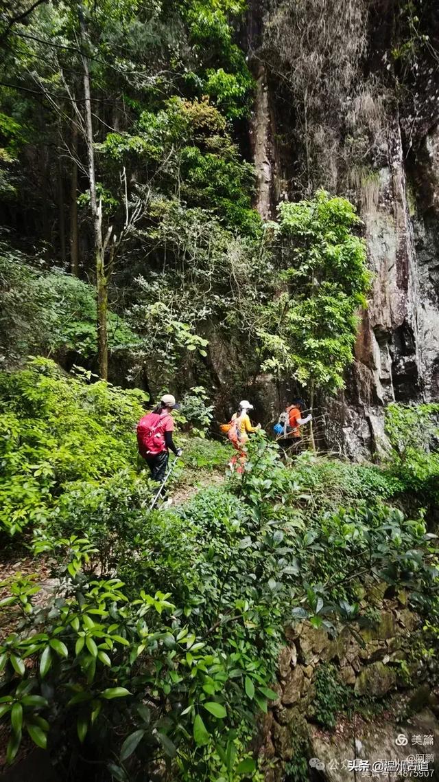雁荡山百岗尖显胜门穿越,这条风光绝美的经典徒步线路你可去过