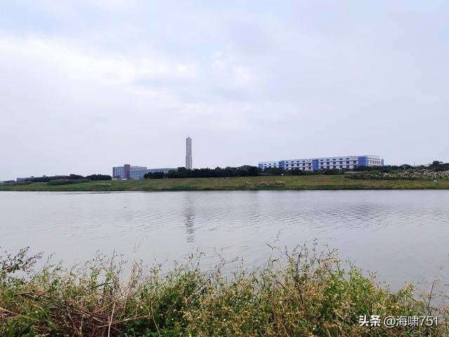 佛山三水芦苞花海生态公园