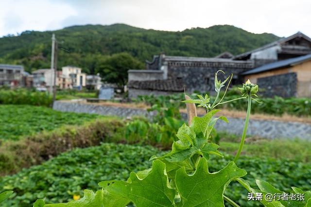 走遍福建古村落，罗源中房镇满盾，始于后唐距今千年，五座大厝