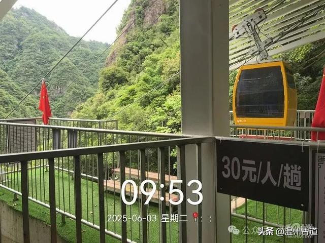 温州这个亲子游玩胜地、植物自然课堂孩子玩嗨家长不累
