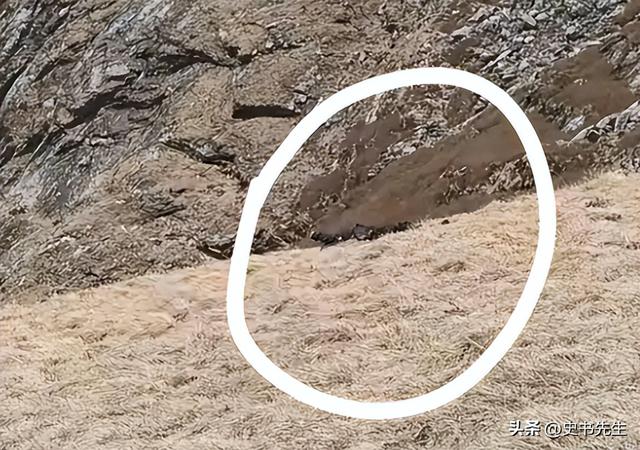 驴友穿越秦岭遇难后续：家属起诉救援队，细节曝光，理由引发众怒