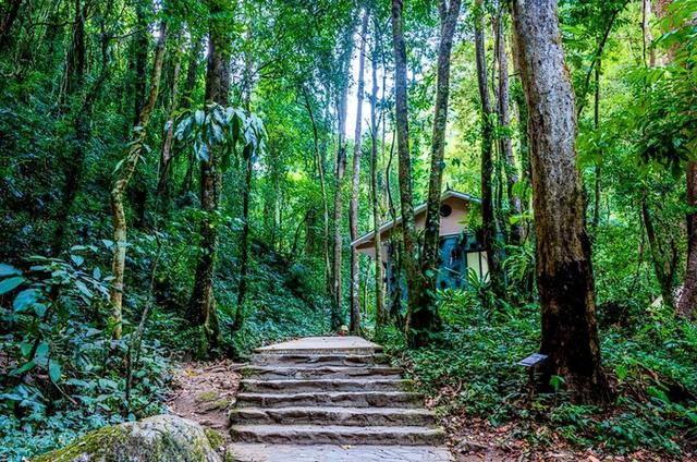 年轻人为何集体“白嫖”景区？报复性白嫖，景区赚不到钱了？