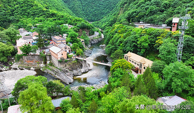 夏季避暑有“凉”方，黑河山水邀你共赴清凉盛宴！