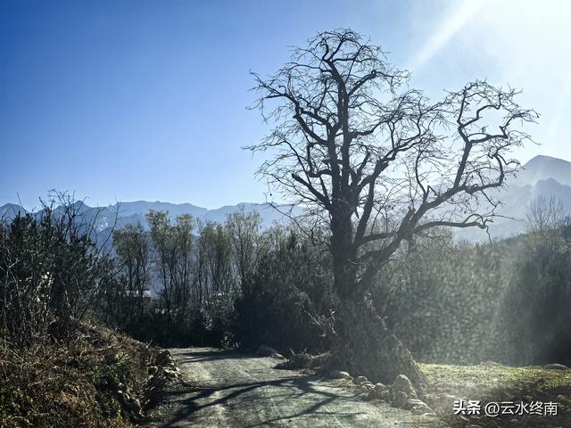 “胭粉台、补天台，娘娘婆的一只鞋”，蓝田这个村喝茶晒暖暖真好