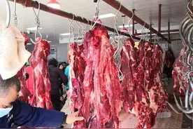 “牛肉自由”要来了？现在牛肉多少钱一斤？5月牛肉行情走势预测图片