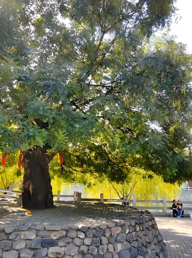 我是南京人，刚去了趟河北邢台，有 5 个疑问一直不明白。