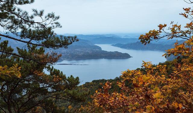 堪比5A却免费！重庆主城这处冷门秘境藏不住了