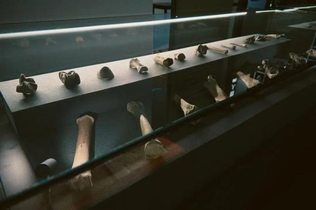 等你来打卡！河北两大新晋博物馆相继试运行