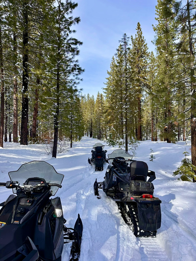 为了拿下万亿元冰雪季旅游订单，南北地区都抢疯了！
