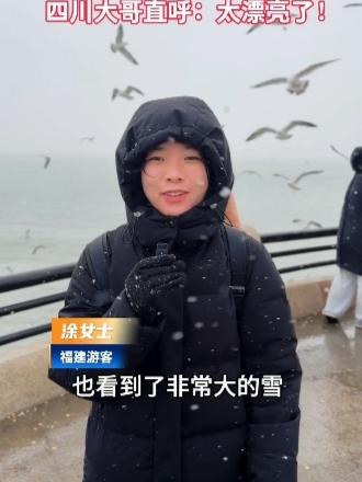别再等了！威海这处雪海秘境，海鸥成群美成童话