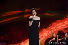 毛阿敏的唱功如何？第一届国家队，通俗唱法扛把子！硬核分析！图片