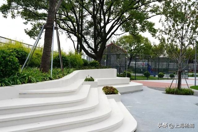 杨浦3处上榜！这些“家门口的好去处”，你打卡了吗？