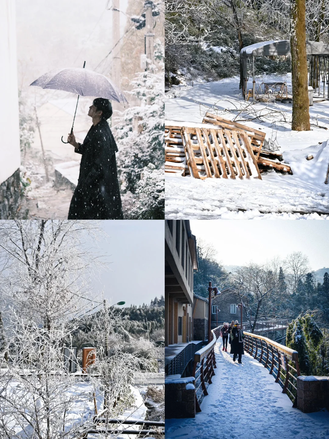 下雪了！下雪了！浙江的第一场雪来了！