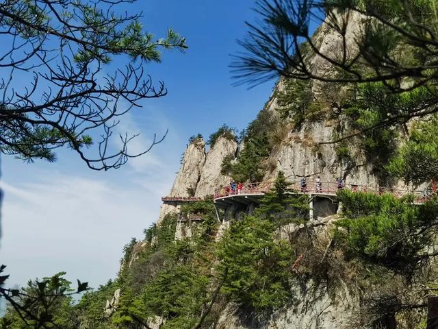 “天下无双圣境，世界第一仙山”的河南洛阳老君山