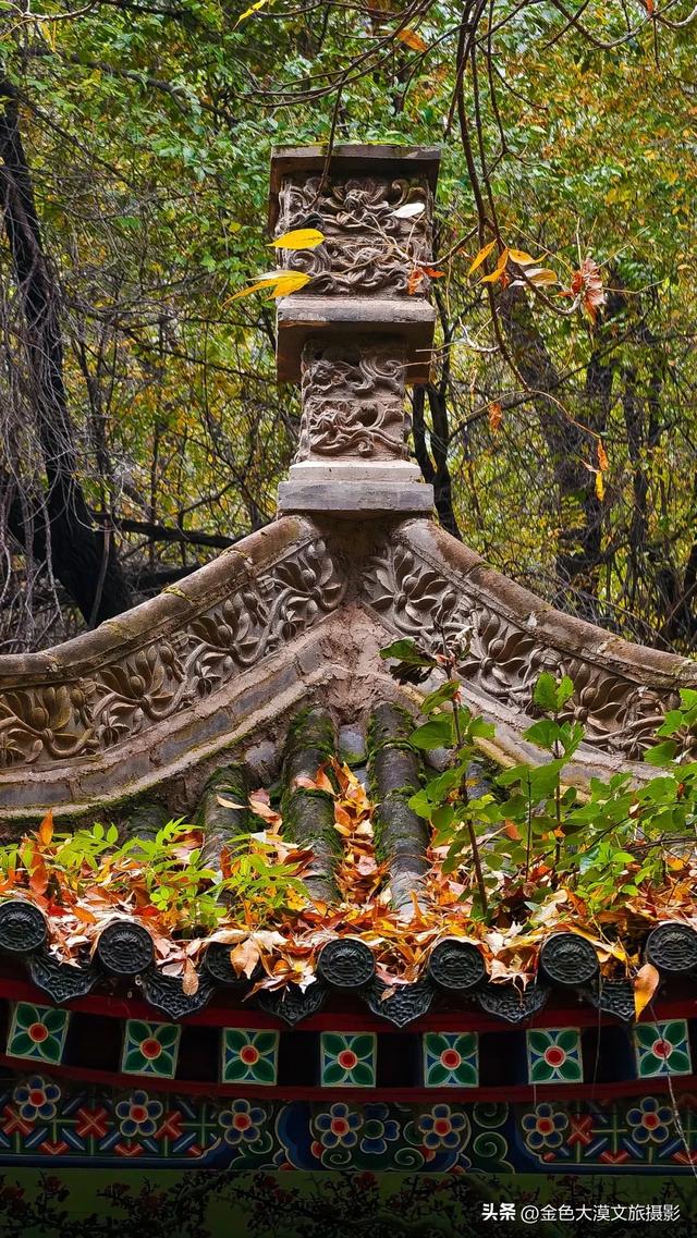 秋染五泉山：兰州城畔的千年诗意与一季斑斓​​