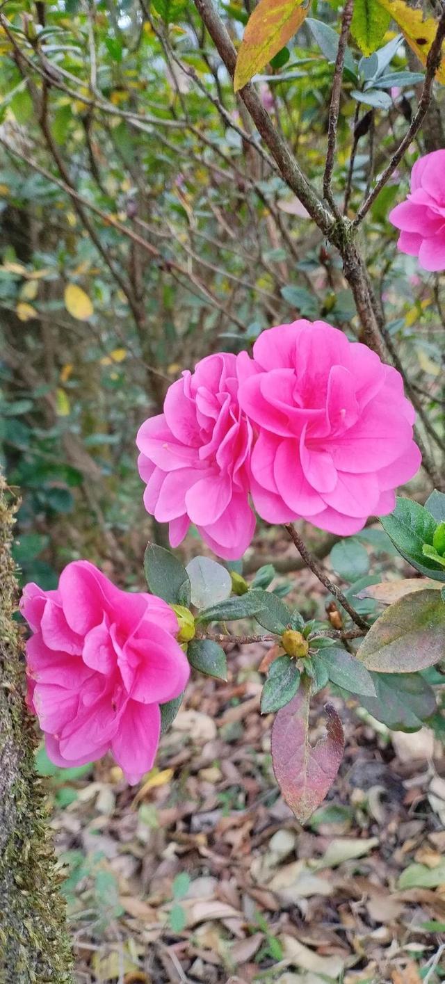 夫妻之间，最重要的是什么