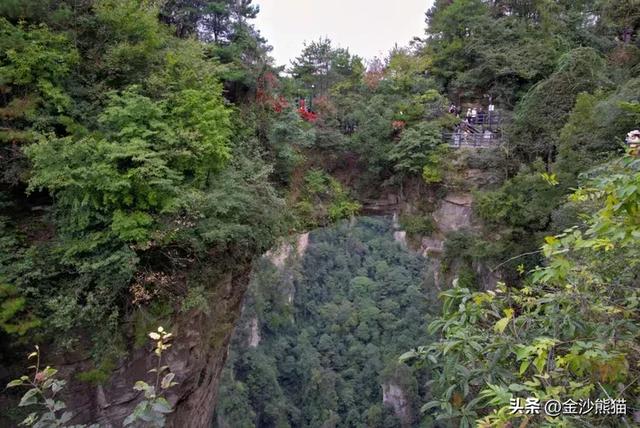 镜头中的山水：寻梦张家界 醉心山水间