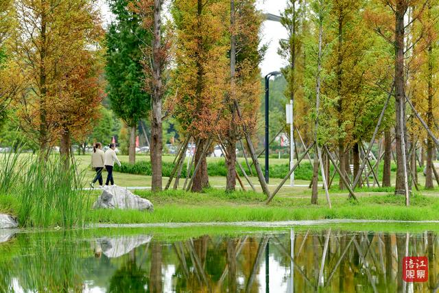 初冬时节，层林尽染，心随景动