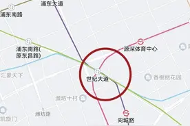 上海地铁换乘线最多的地铁站排名，及未来上海地铁的展望图片