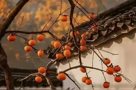 不合格低保户为什么老是清不掉？图片