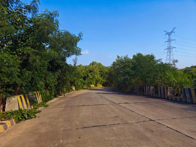 塘朗山郊野公园[绿平二路入口]骑行爬坡好地方