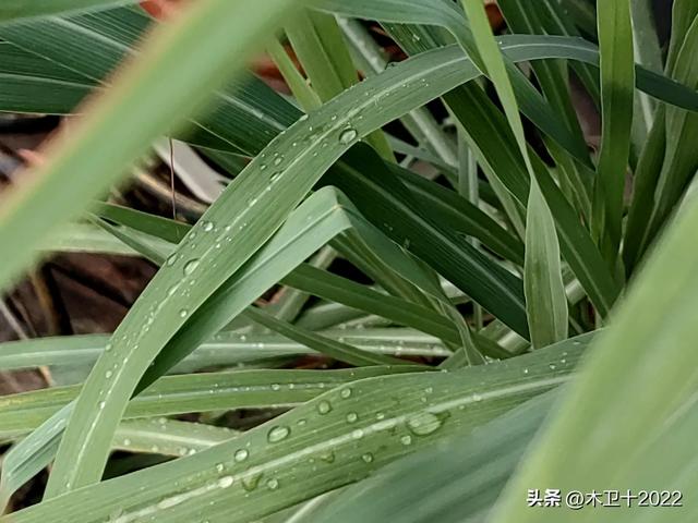 立秋