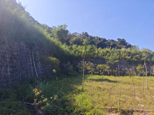 塘朗山郊野公园[绿平二路入口]骑行爬坡好地方