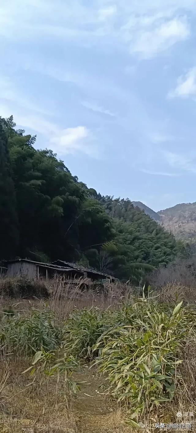 探秘楠溪江源头!这条海拔千米以上的草甸山脊只有极少数驴友知道