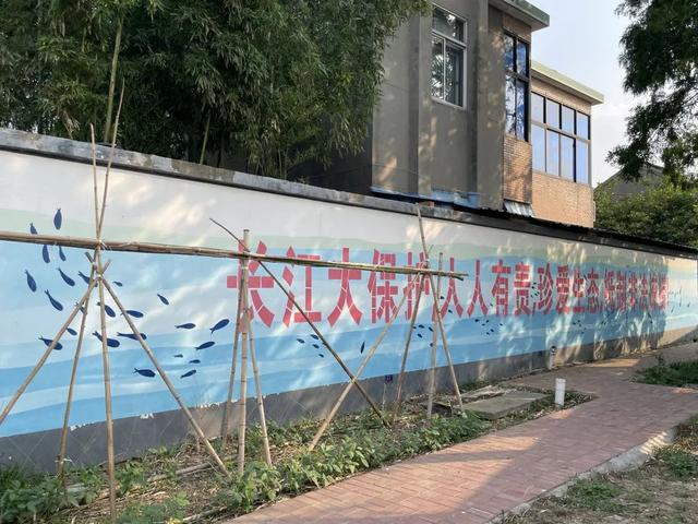 现场实拍界牌镇张家埭村，村景好美