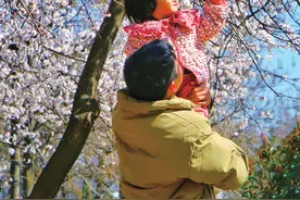 最是一年春好处图片