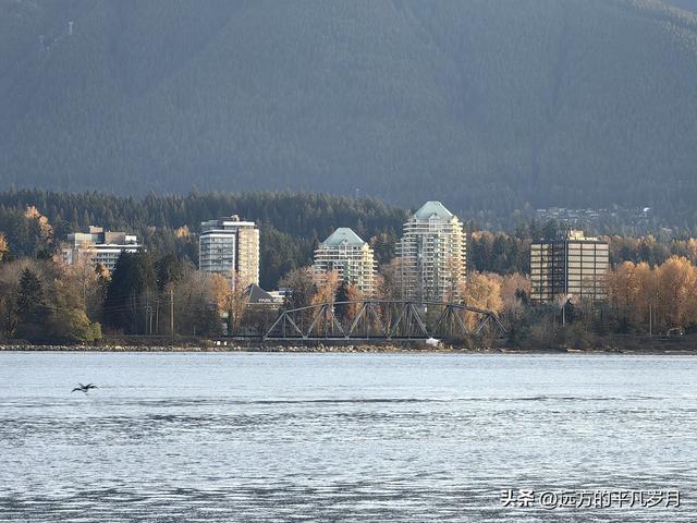 温哥华游记（四）