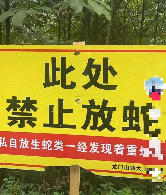 驴友登山发现大量与“蛇”相关告示牌，当地回应