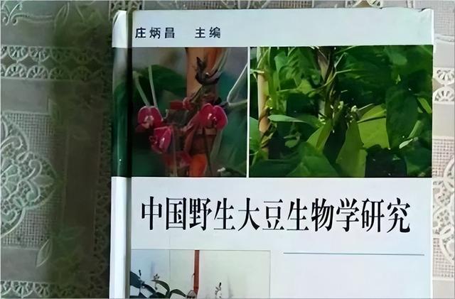 2002年两名混混因抢劫，毁了座二线城市，中国国运也被按下暂停键
