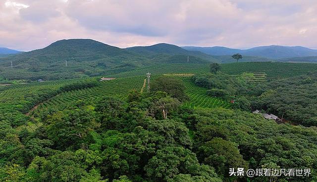 《西双版纳 澜沧行》雨林深处的傣家秘境 —— 西双版纳曼远村记行