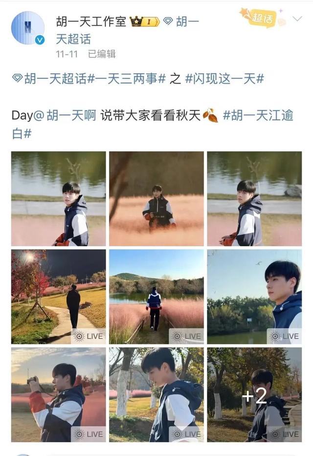 田曦薇、胡一天打卡西海岸！约你来玩！