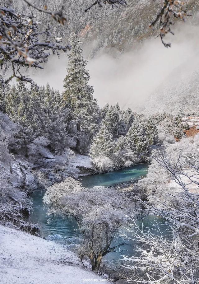 西藏最美公路！409公里串起雪山桃花湖泊