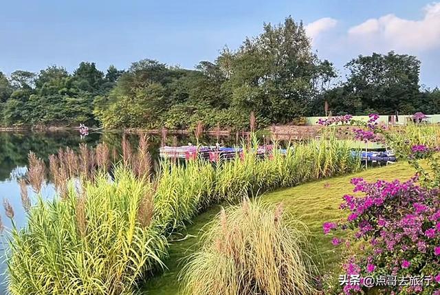 成都超级冷门公园，成都西湖，不要门票，仙境美如泸沽湖！